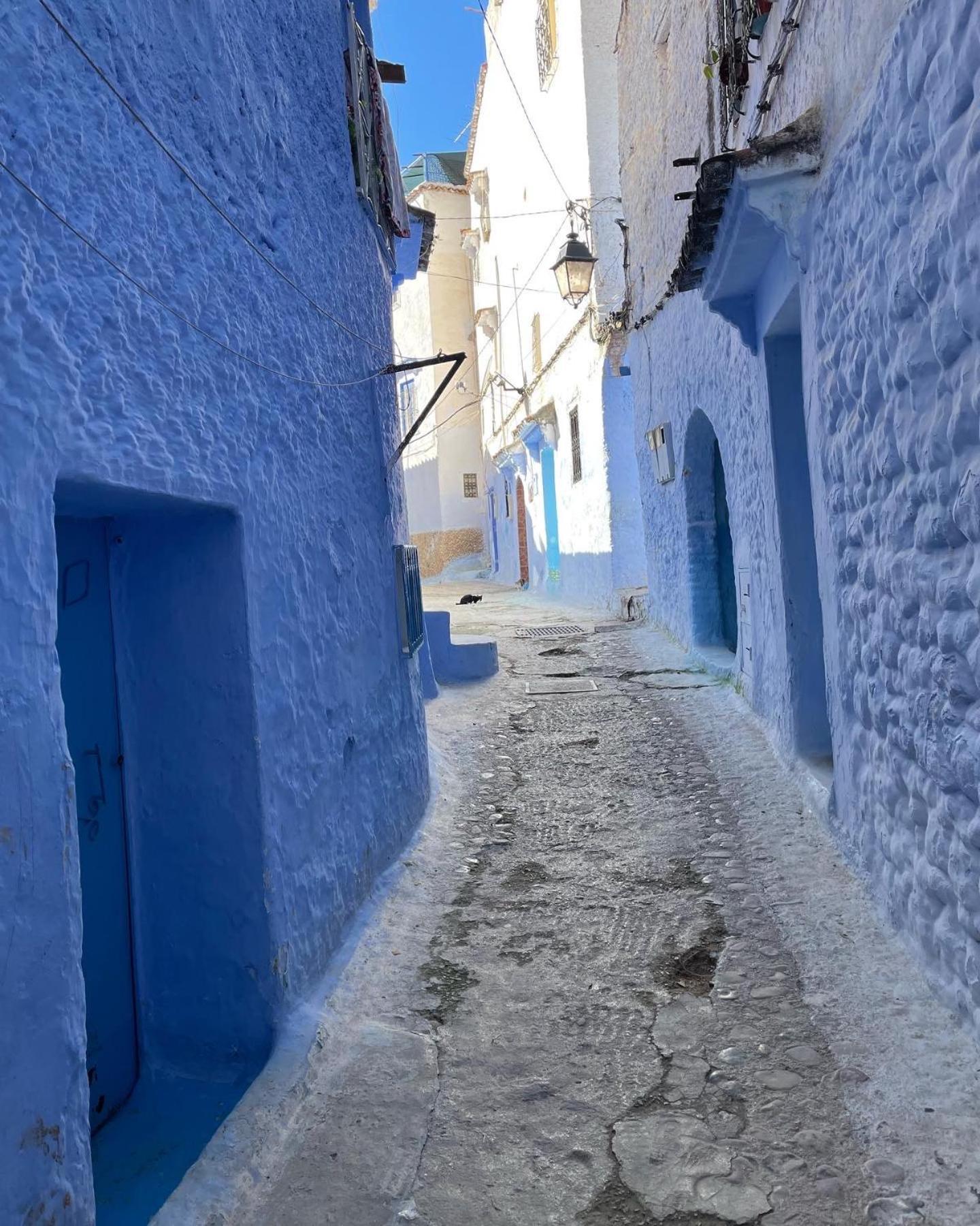 Tranquil Oasis In Chefchaouen Lejlighed Eksteriør billede